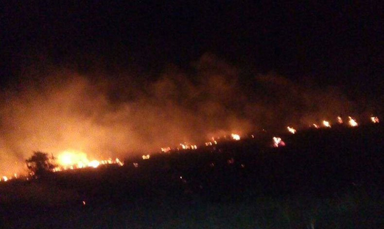 Malatya’da orman yangını