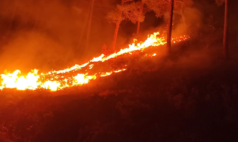 Mersin’de orman yangını