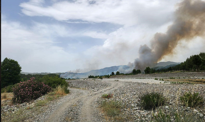 Muğla sınırında başlayan orman yangını Denizli’ye sıçradı