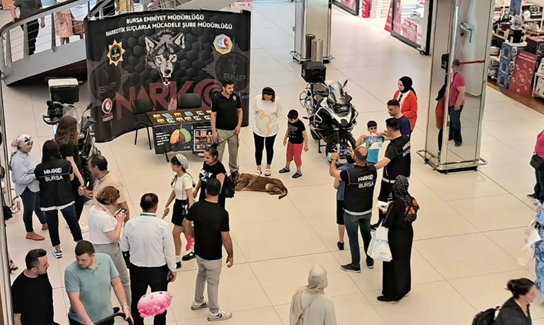 “Kent Konseyi seçimlerinde tarafsızım”