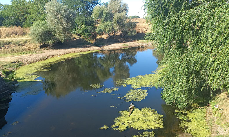 Tunca Nehri’ni kuraklık vurdu