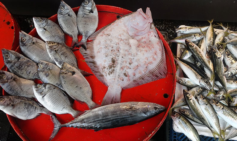 Kurban eti, balığa talebi azalttı