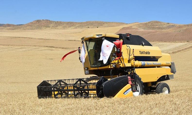 Çiftçilerin hasat mesaisi başladı