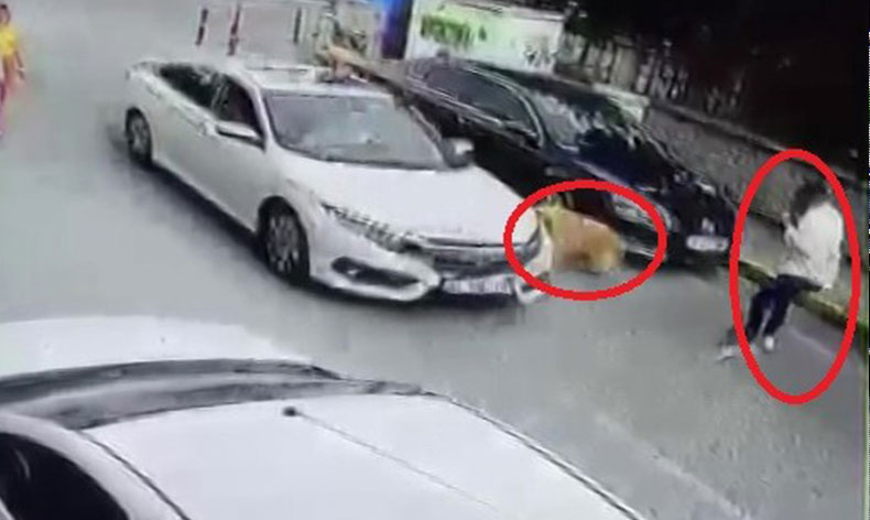 Köpeğe çarptı, arkasına bile bakmadı