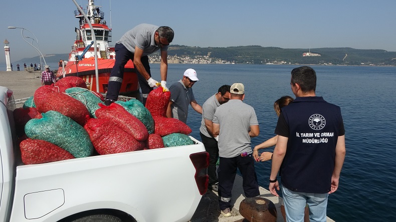 Çanakkale’de 3 ton kum şırlanı ele geçirildi