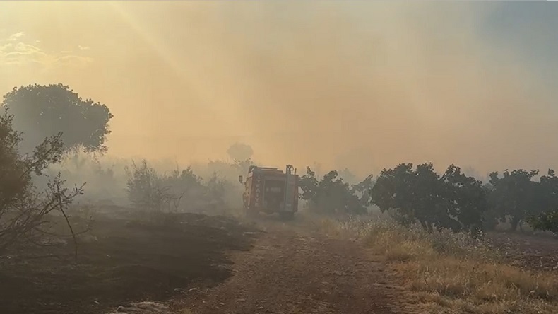 Gaziantep’te korkutan orman yangını
