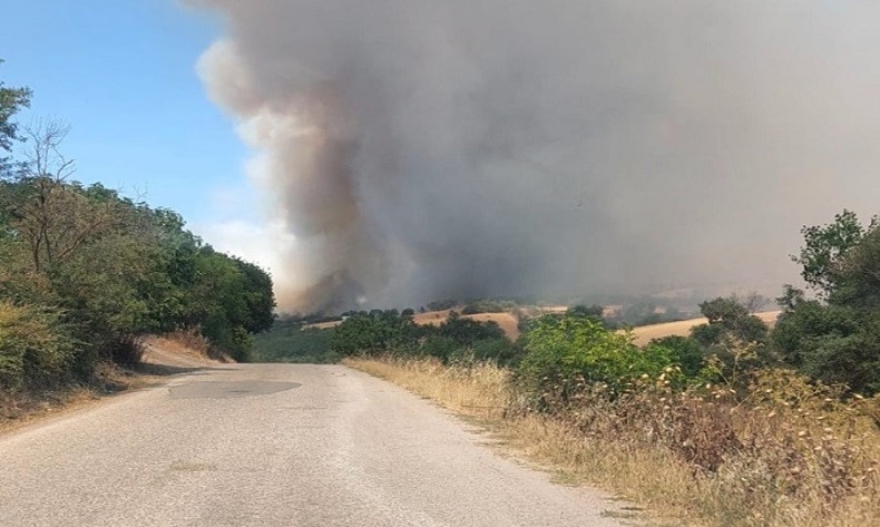 Balıkesir Bigadiç’te arazi yangını