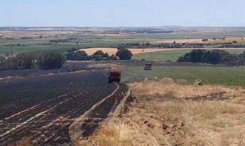 Edirne’de tarım arazisinde başlayan yangın ormana sıçramadan kontrol altına alındı
