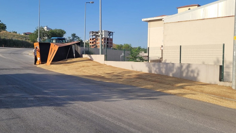 Buğday yüklü traktör devrildi