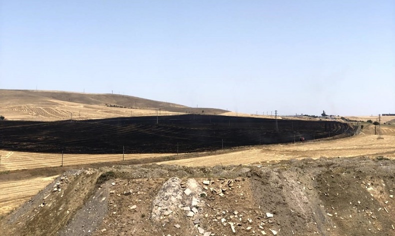 Ankara’da 100 dekarlık buğday tarlası yangını