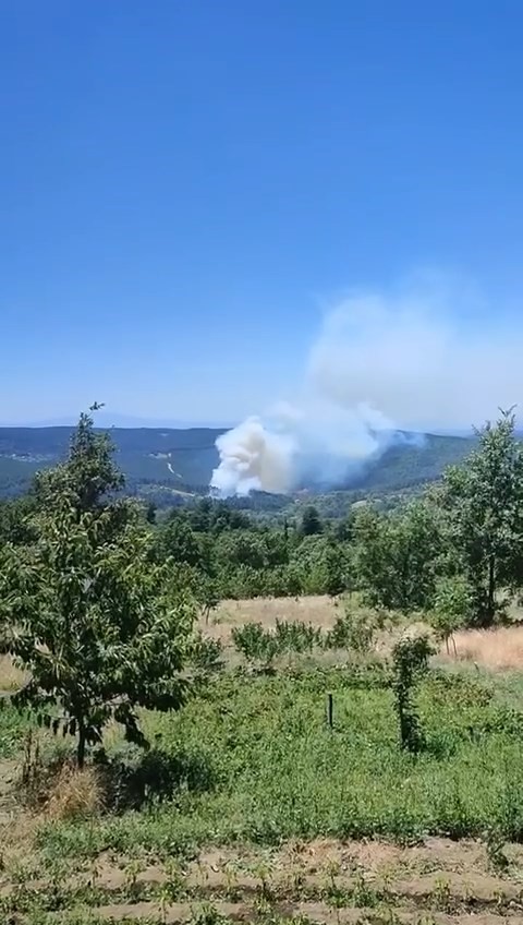 BURSA'NIN DAĞ İLÇELERİNDEN BİRİ OLAN KELES İLÇESİNE BAĞLI BARAKLI MAHALLESİ ÇATAKLI MEVKİİNDE ULUDAĞ'IN GÜNEY YAMAÇLARINI OLUŞTURAN ORMANLIK ALANDA BAŞLAYAN YANGIN ŞİDDETLİ RÜZGAR SEBEBİYLE YAYILIYOR. (AHMET BERKE ERDAL/BURSA-İHA) Bursa'nın dağ ilçelerinden biri olan Keles ilçesine bağlı Baraklı Mahallesi Çataklı mevkiinde Uludağ'ın güney yamaçlarını oluşturan ormanlık alanda başlayan yangın şiddetli rüzgar sebebiyle yayılıyor.