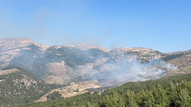 Kahramanmaraş’ta orman yangını
