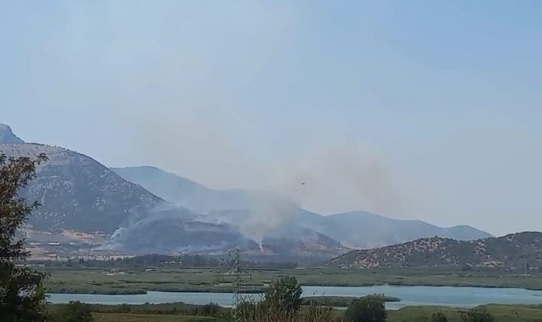 Selçuk’taki orman yangını kontrol altında