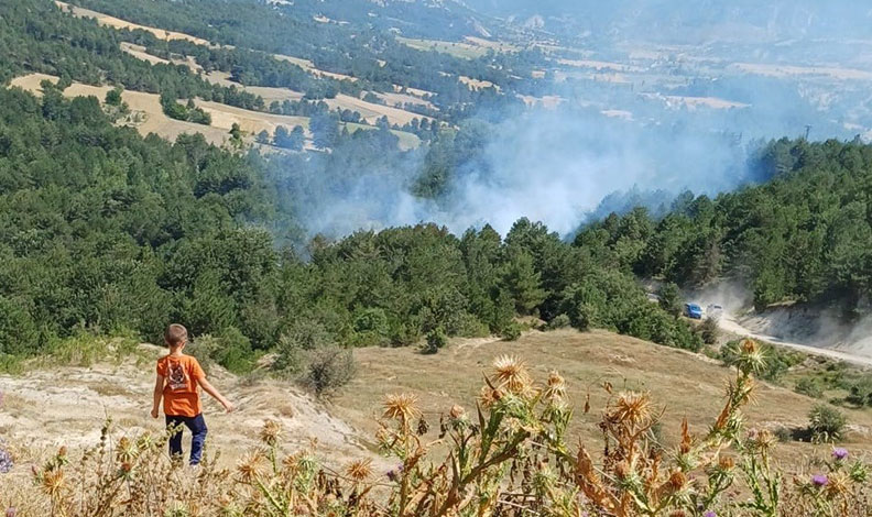 Bilecik’te orman yangını