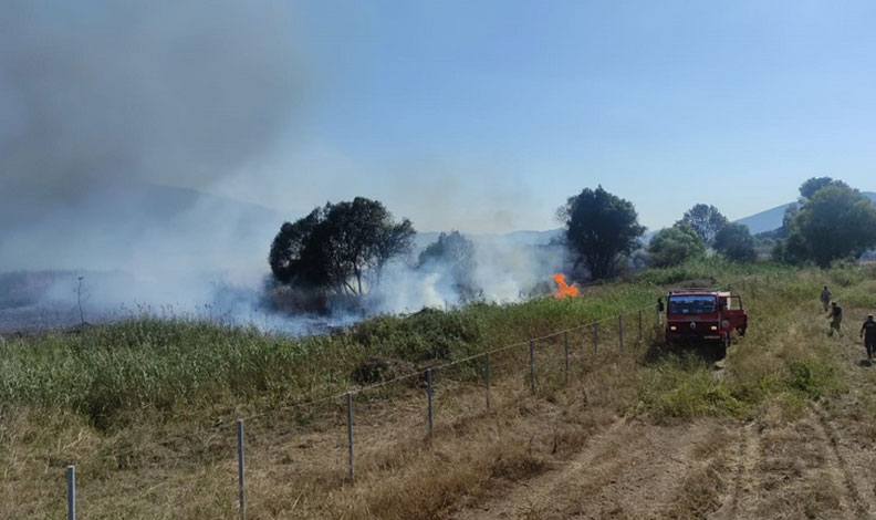 Bursa’da İznik Gölü kıyısındaki sazlık alanda yangın
