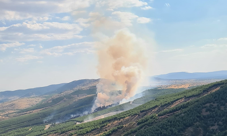 Çivril’deki yangında 8 hektar alan zarar gördü