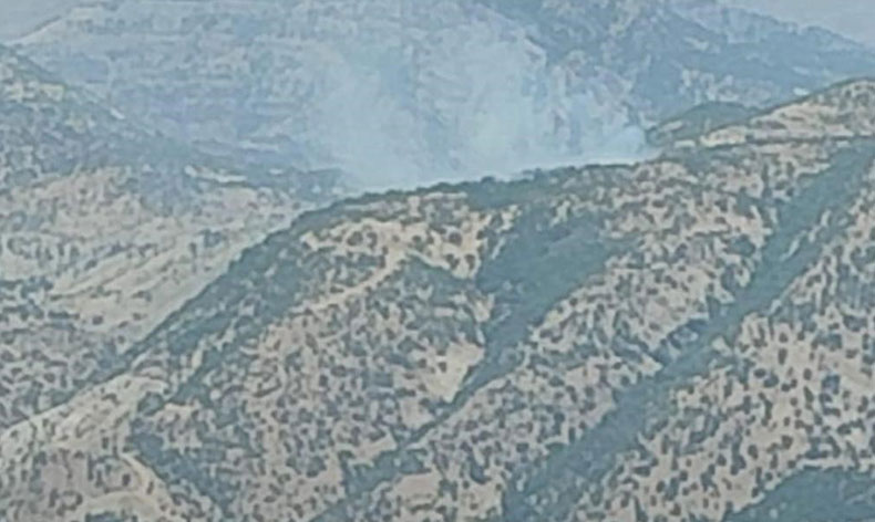 Şırnak’ta orman yangını