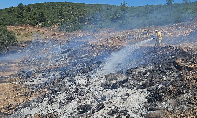 Muğla’daki arazi yangını kontrol altına alındı