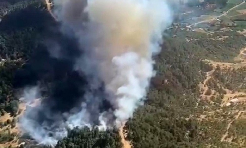 İzmir Ödemiş’te çıkan orman yangını kontrol altına alındı