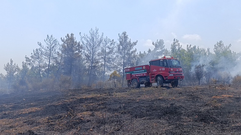 Manavgat’ta 4 dönüm kızılçam ormanı yandı