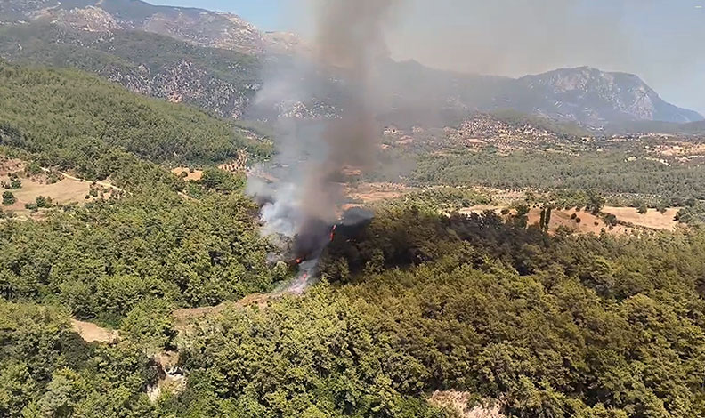 Muğla Milas’ta yangın