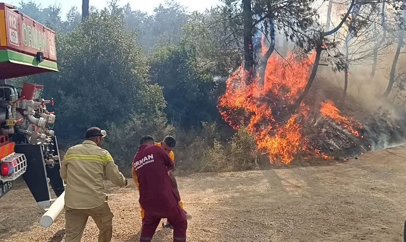 Adana’da orman yangını