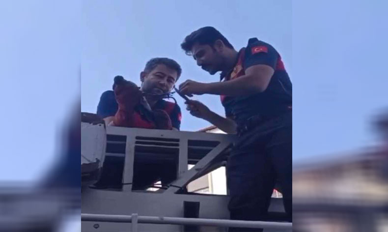Ağaçta mahsur kalan karganın imdadına itfaiye yetişti