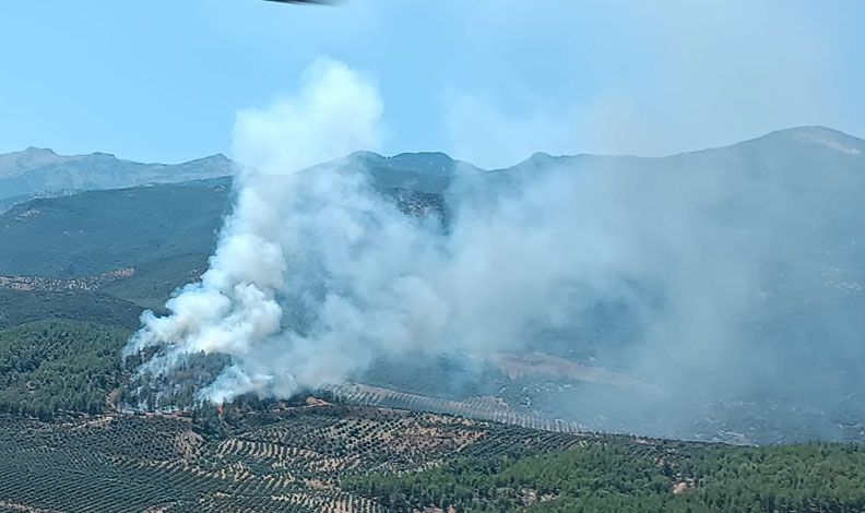 Hatay’da orman yangını