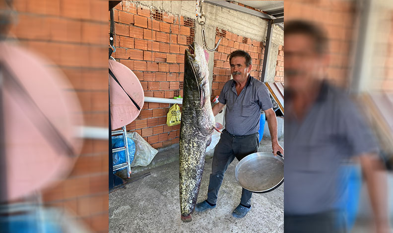 Bursa’da barajda 87 kilogramlık balık yakalandı