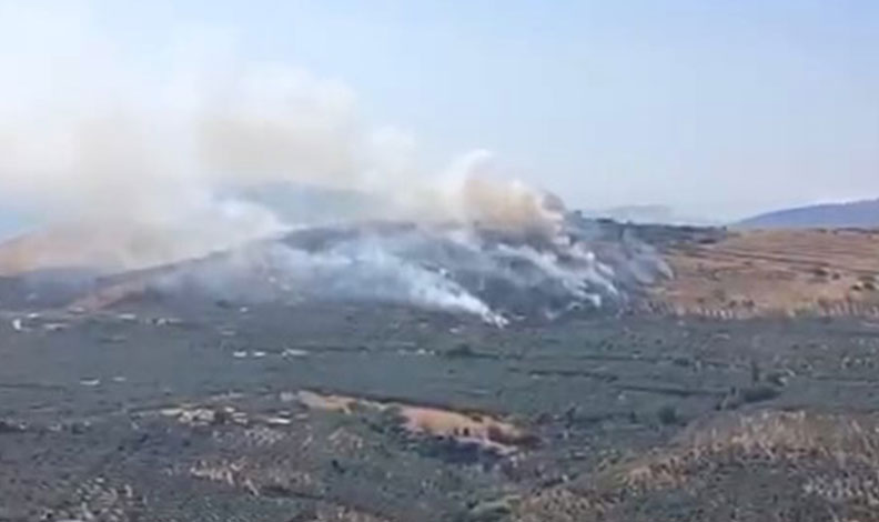 Erdek’te orman yangını
