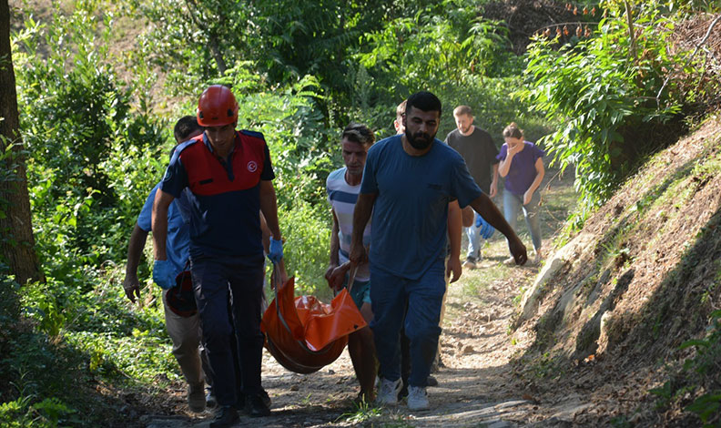 Kökünden kopan incir ağacı yaşlı adamın sonu oldu