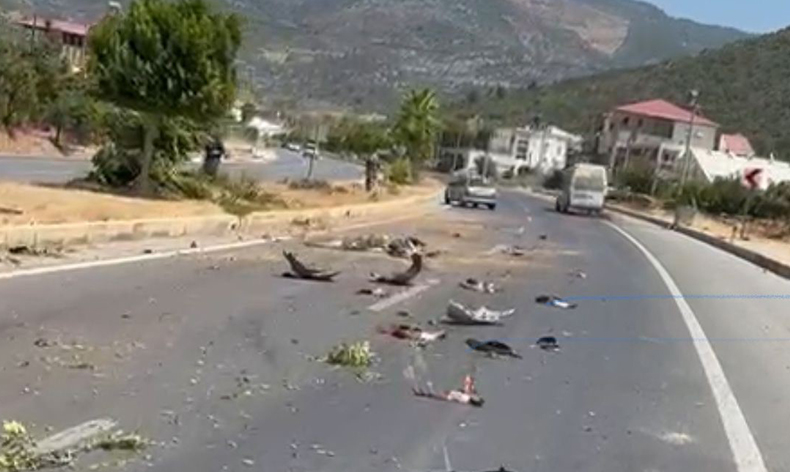 Kontrolden çıkan otomobil ağaçları devirip karşı şeride geçti
