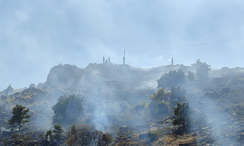 Malatya’da 3 ayrı noktada ot yangını