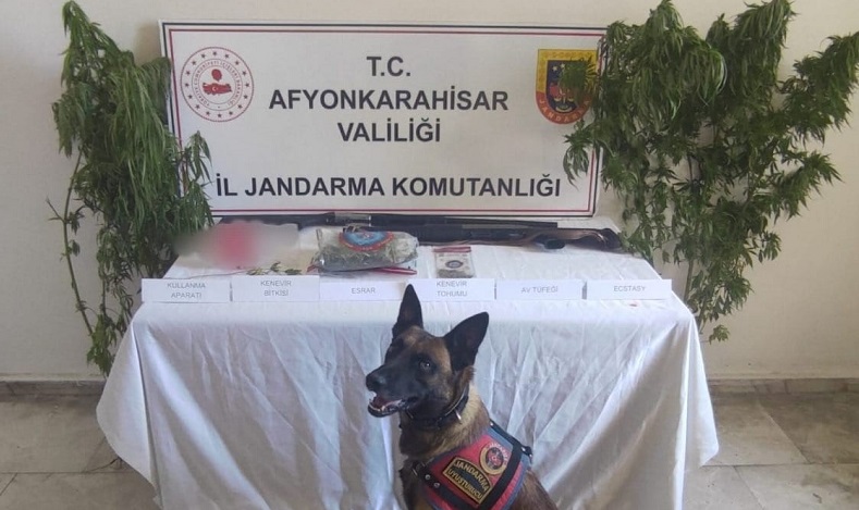 Kenevir eken şahısa jandarmadan operasyon