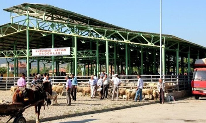 Sarıgöl Hayvan Pazarı ikinci bir emre kadar kapatıldı