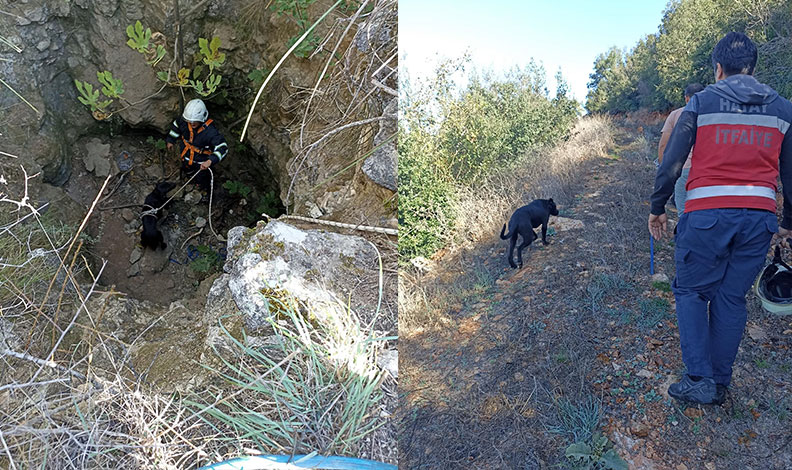Kuyuya düşen köpeği itfaiye kurtardı