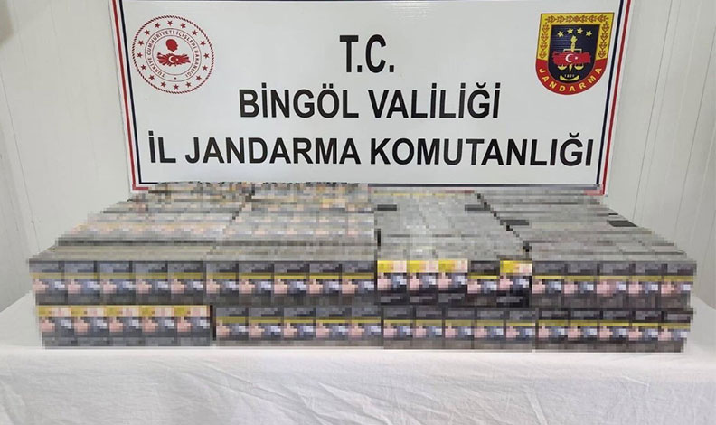 Bingöl’de kaçak kazı yapan 2 kişi yakalandı