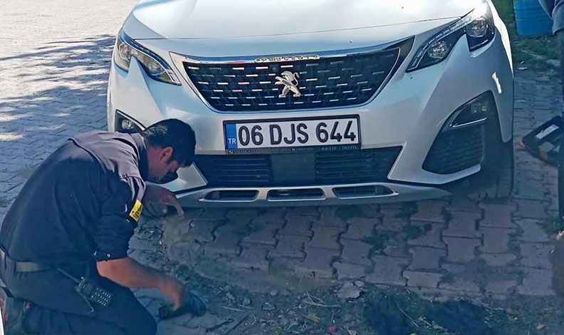Konya’da otomobilin motoruna sıkışan kedi kurtarıldı