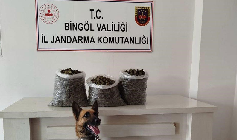 Bingöl’de 4,5 kilo esrar ele geçirildi