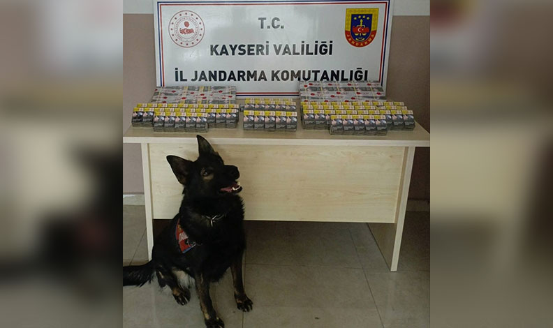 Kontrol için durdurulan kamyonda kaçak sigara yakalandı
