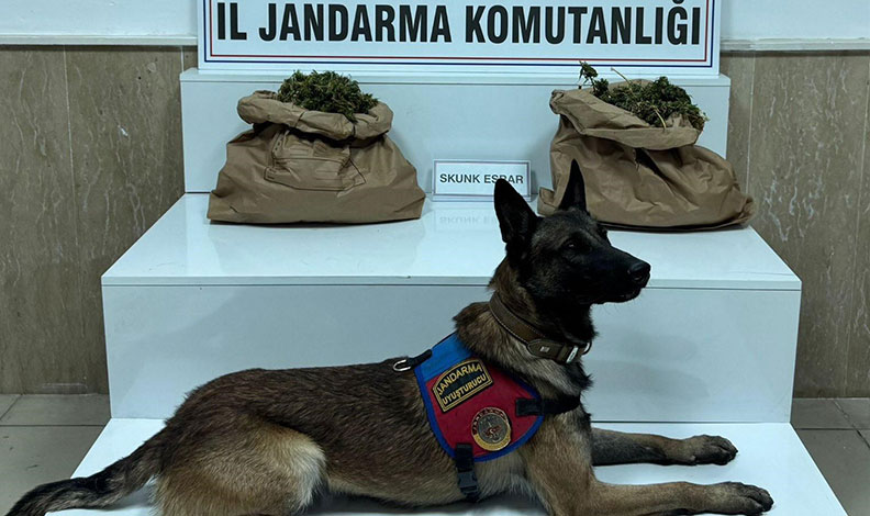 Uyuşturucu tacirine jandarma baskını