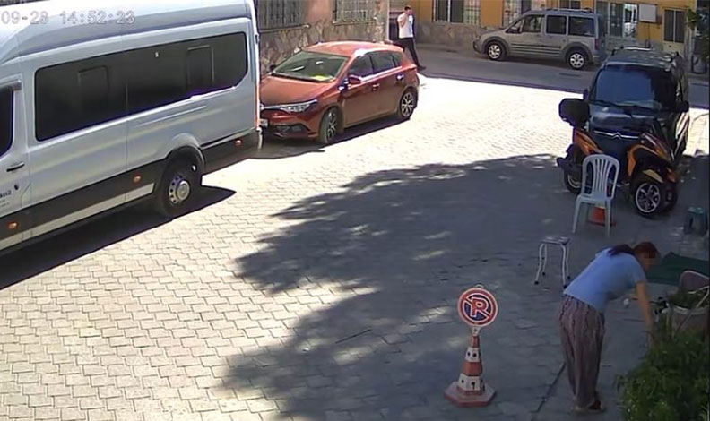 Gözüne kestirdiği çiçeği kökleriyle götürdü