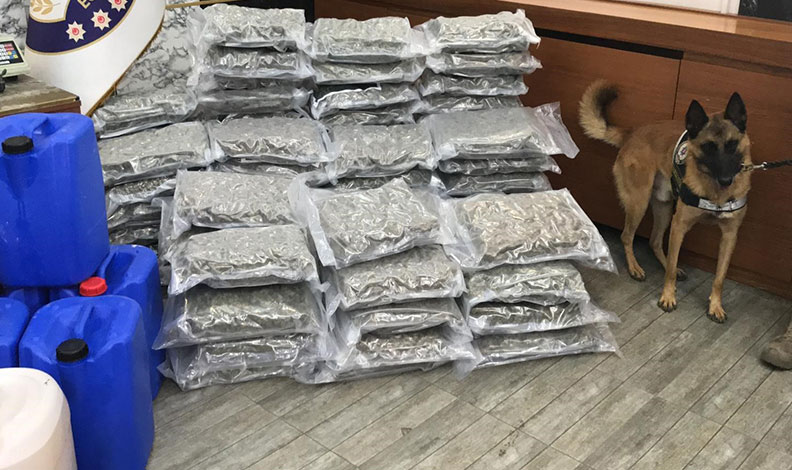 İstanbul’da uyuşturucu operasyonları: 8 gözaltı