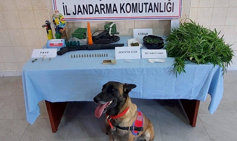 Uyuşturucu madde ticareti yapan şahsa jandarma operasyonu