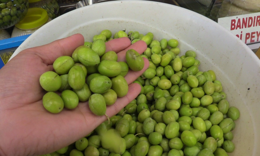 Kırma-çizme zeytin satışta