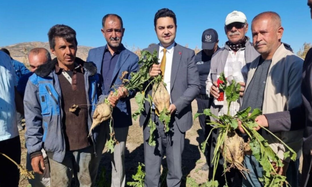 Kaymakam, şeker pancarı hasadına katıldı