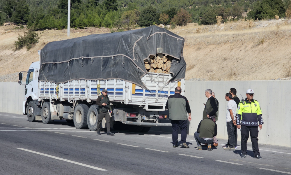 Orman suçlarına karşı denetimler sıkılaştırıldı