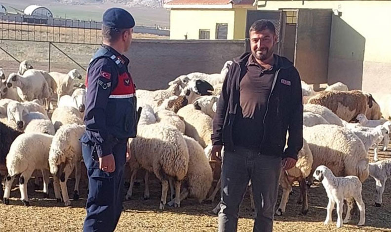 Kaybolan küçükbaş hayvanları jandarma dronla buldu