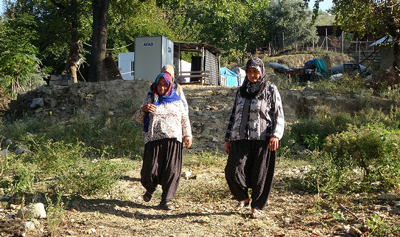 Kadınlara karşı soyunup tartışan kişi zeytin ağaçlarını kesti iddiası