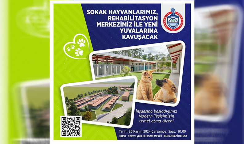 Sokak hayvanlarına yeni yuva geliyor
